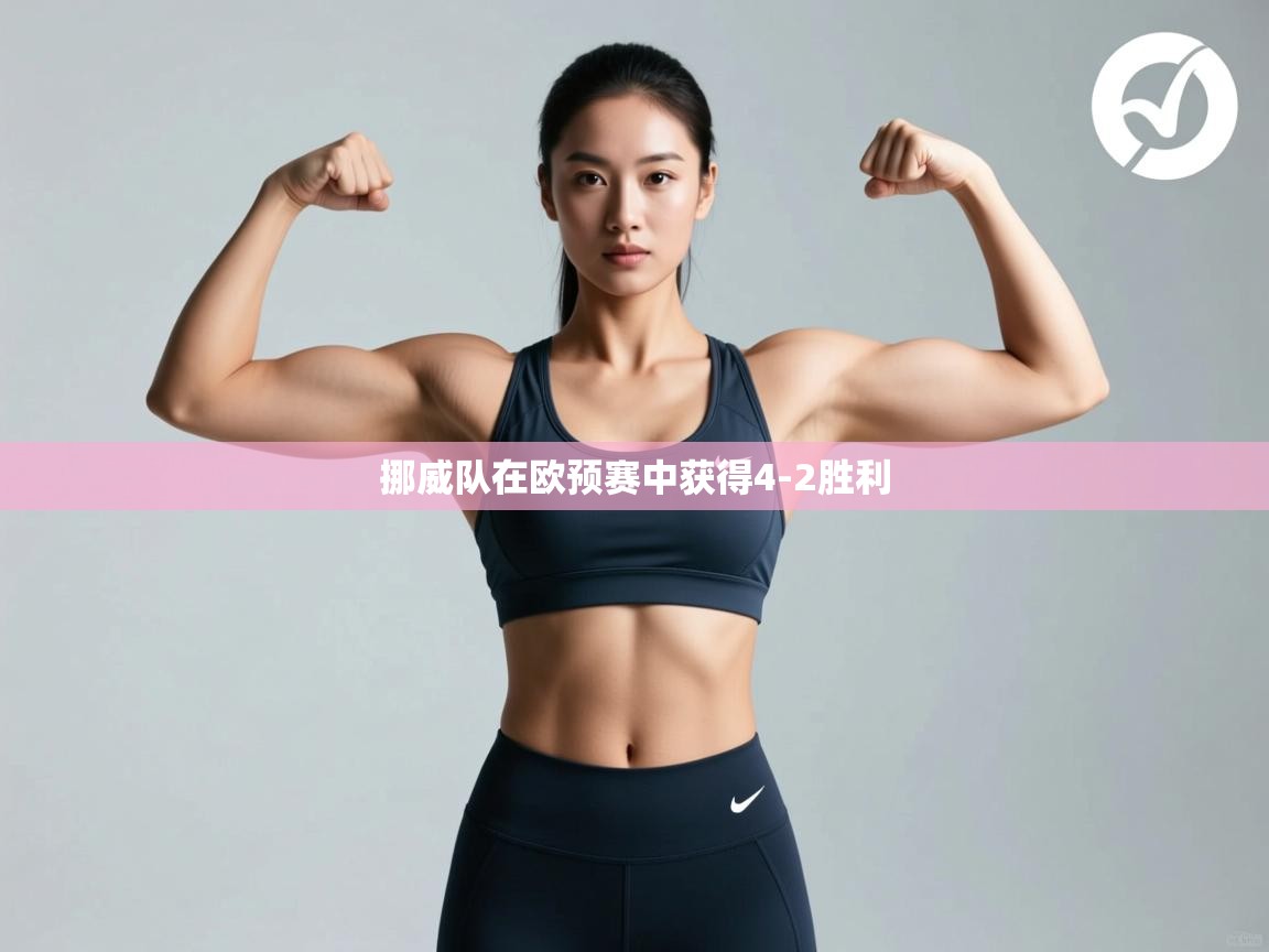 挪威队在欧预赛中获得4-2胜利  第2张