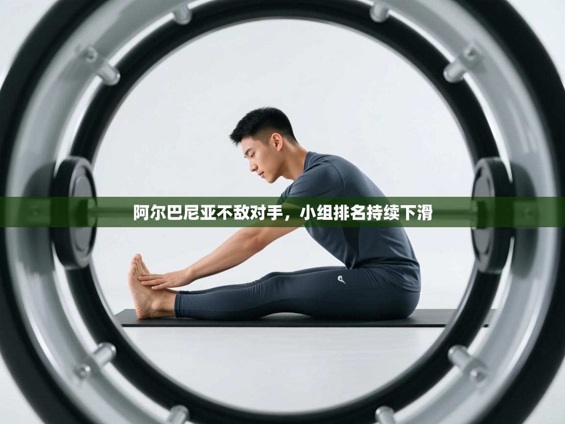 阿尔巴尼亚不敌对手,小组排名持续下滑 第2张