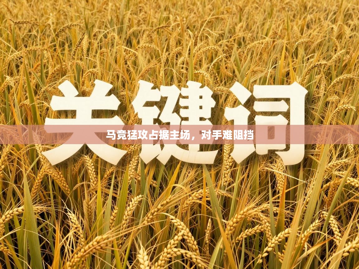 马竞猛攻占据主场,对手难阻挡 第2张